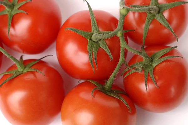 Fresh tomatoes on branch closeup — Stock Photo, Image