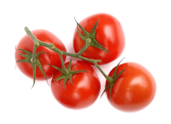 Zweig mit weichen Tomaten isoliert auf weiß — Stockfoto