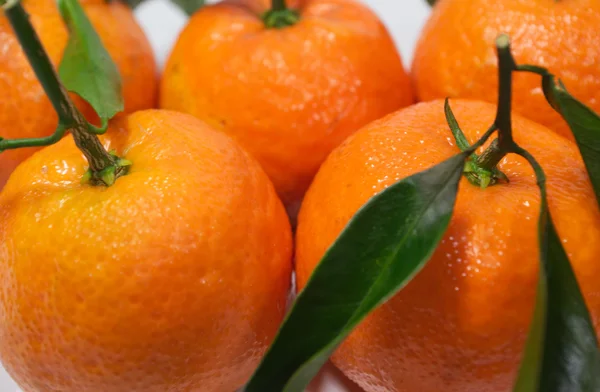 Mandarinen mit Blättern Nahaufnahme — Stockfoto