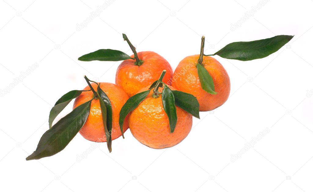 Fresh tangerines with leaves isolated on white