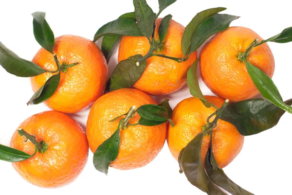 Fresh tangerines with leaves isolated on white — Stock Photo, Image