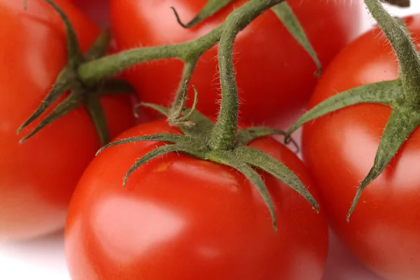 Röda tomater på gren närbild — Stockfoto