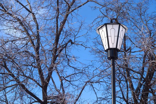 Lanterna Frente Árvores Congeladas Céu Azul — Fotografia de Stock