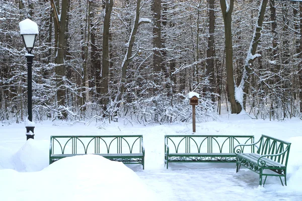 绿色长椅和灯笼在冬季森林 — 图库照片