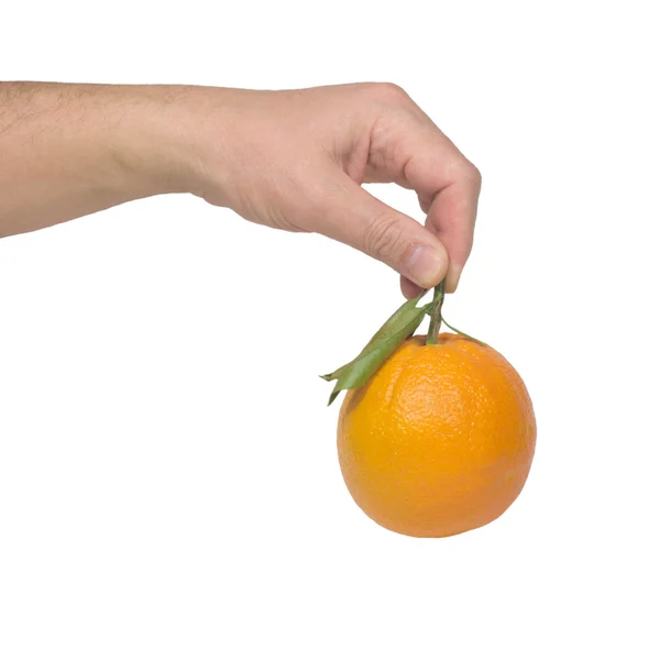 手保持ぶら下がっている白で隔離される新鮮なオレンジ — ストック写真