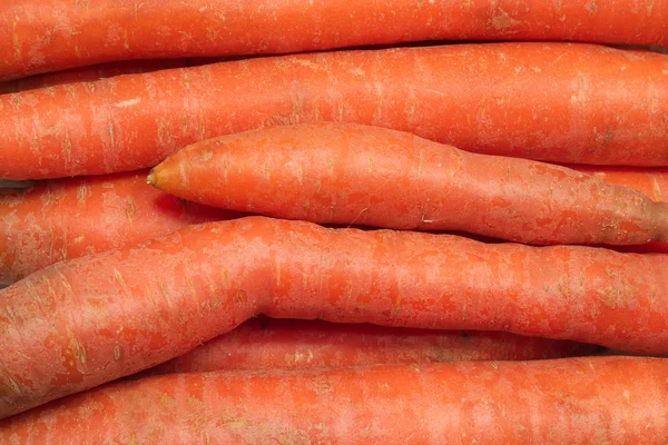 Muchas zanahorias rojas frescas de cerca — Foto de Stock