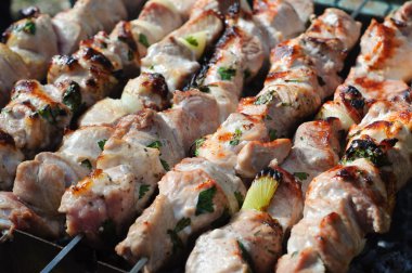 Souvlaki Barbekü