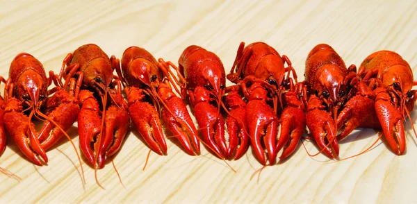 Peixes de lagosta — Fotografia de Stock