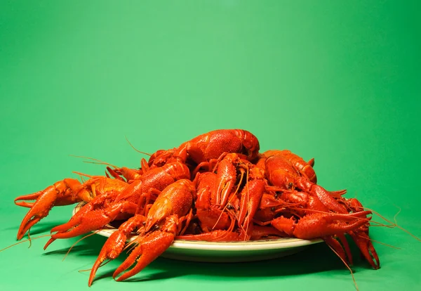 Plate full of crayfishes — Stock Photo, Image