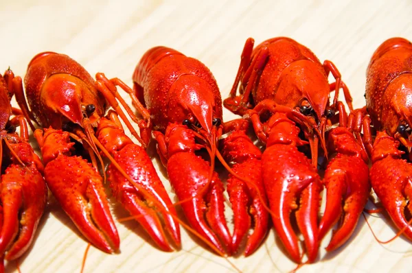 Three crayfishes — Stock Photo, Image