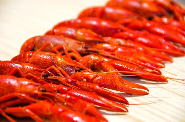 Crayfishes — Stok fotoğraf