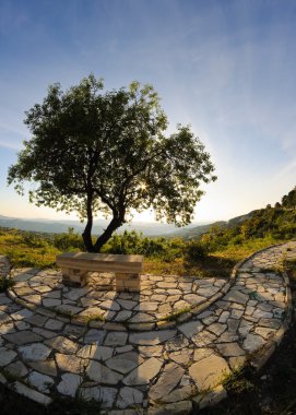 Stone bench and tree clipart