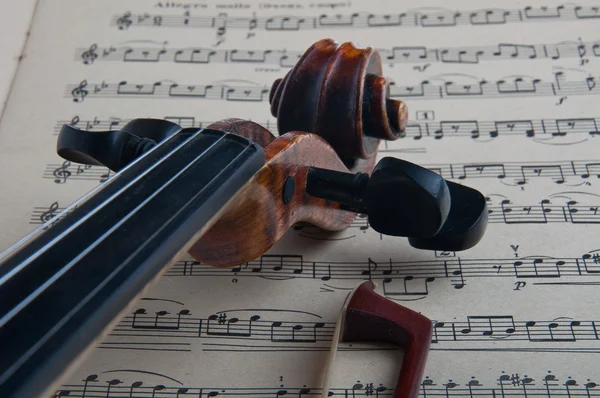 ヴァイオリン ロイヤリティフリーのストック画像