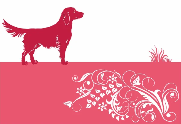 Baner with dog — Stock Vector