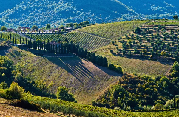 Il paesaggio rurale toscano, Toscana, Italia — Foto Stock
