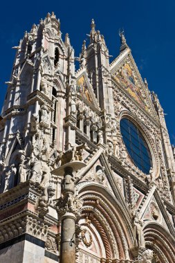 duomo (katedral), siena, Toskana, İtalya