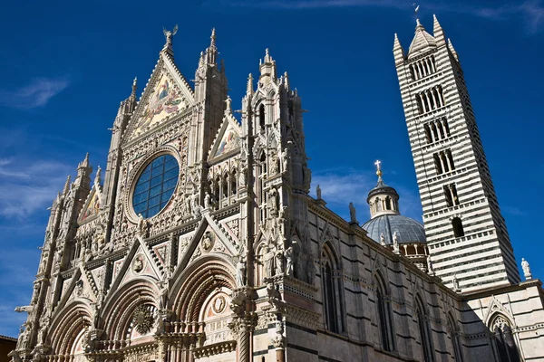 Duomo (katedral), siena, Toskana, İtalya — Stok fotoğraf