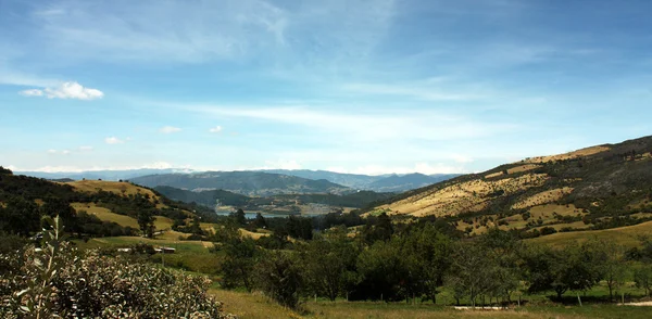 Andean landscape — Stock Photo, Image