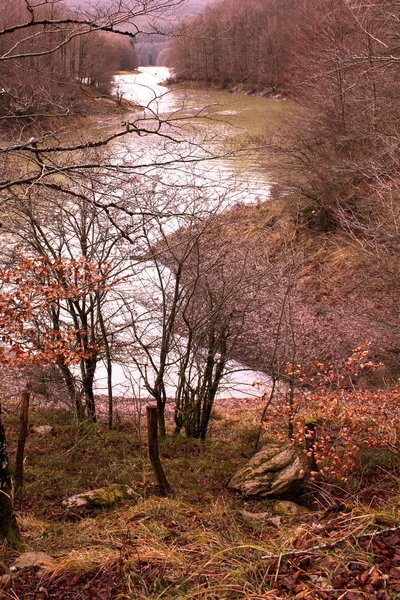 stock image River In Jungle Of Irati. Navarre, Spain