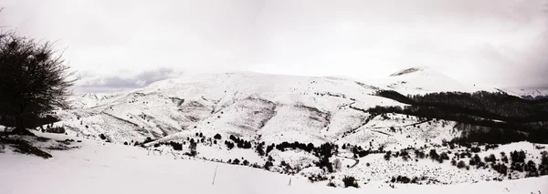雪をかぶったピレネー山脈。Irati はジャングル。スペイン ナバラ — ストック写真
