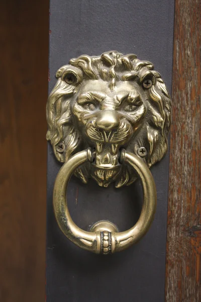 Kołatka w kształcie metalowych leon, — Zdjęcie stockowe