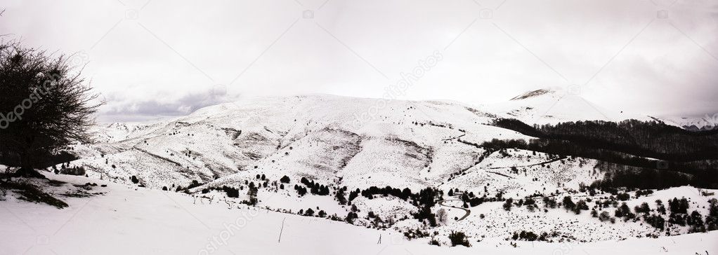 Snow-capped Pyrenees. Irati jungle. Navarre, Spain