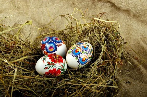 stock image The painted eggs