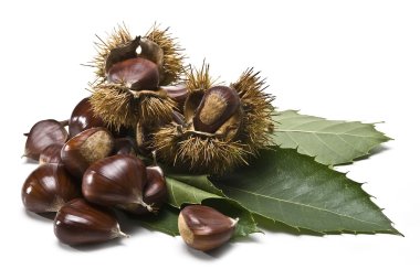 Chestnuts 2. clipart