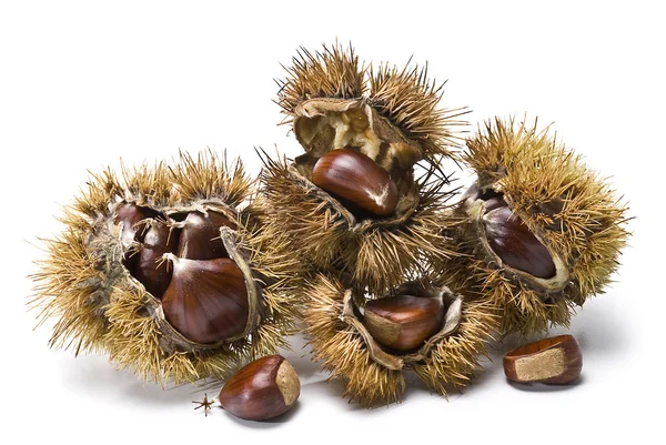 Chestnuts 10. — Stock Photo, Image