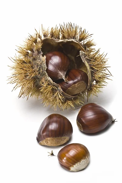 Chestnuts 5. — Stock Photo, Image