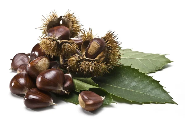 Chestnuts 2. — Stock Photo, Image