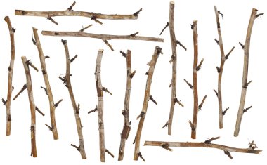 Set of the dry branches clipart