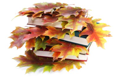 Altın sonbahar yaprakları ile kitapları