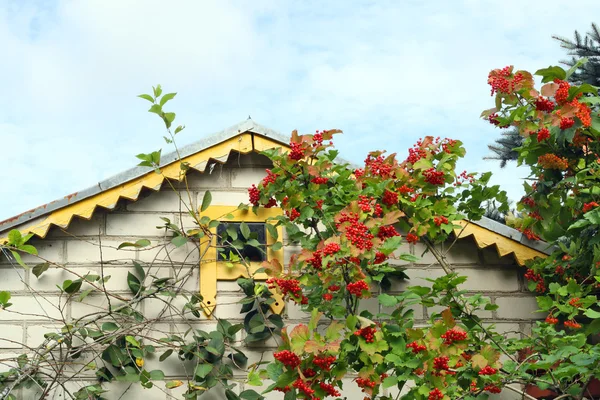Het dak van het platteland huis — Stockfoto