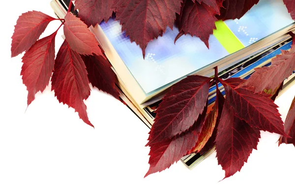 Livros e revistas com folhas vermelhas de outono — Fotografia de Stock