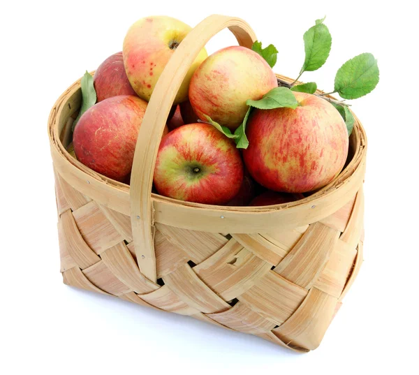 Äpplen på korg — Stockfoto