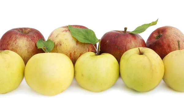 Border from yellow and red apples — Stock Photo, Image