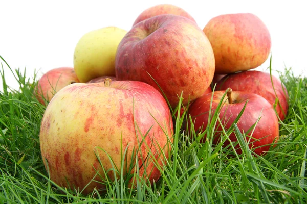 Autmn äpplen på ett gräs makro — Stockfoto