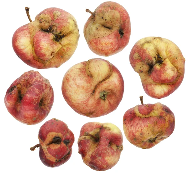 Conjunto de maçãs curvadas, feias, doentes e não saudáveis — Fotografia de Stock