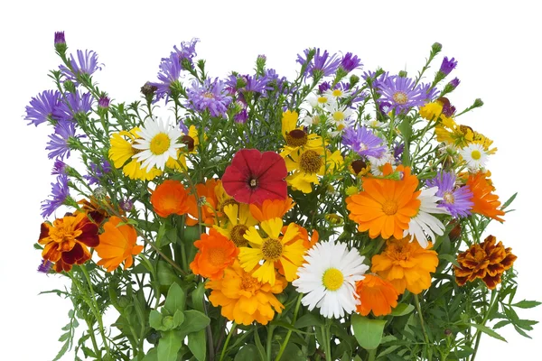 Blumenstrauß aus Blumen, die bis Oktober gelebt haben. — Stockfoto