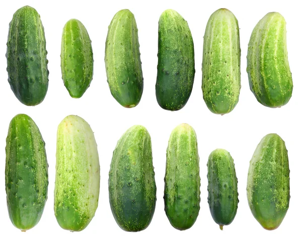 Fresh isolated cucumbers set — Stock Photo, Image