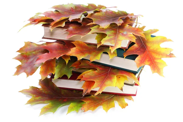 Boeken met gouden herfstbladeren — Stockfoto