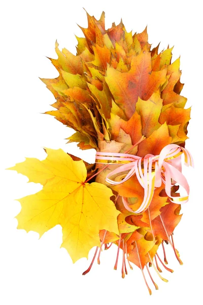 Golden leaves in a gift — Stock Photo, Image