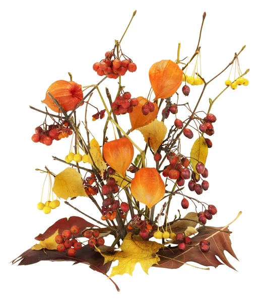 Dead autumn berries, leaves and branches — Stock Photo, Image