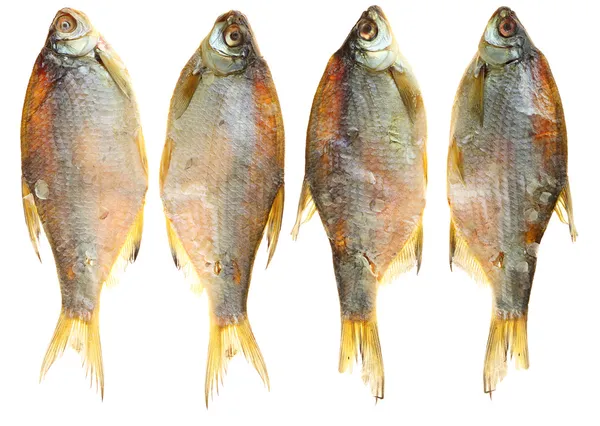 ソルティ魚は死んで乾燥 - スナック ビール. — ストック写真