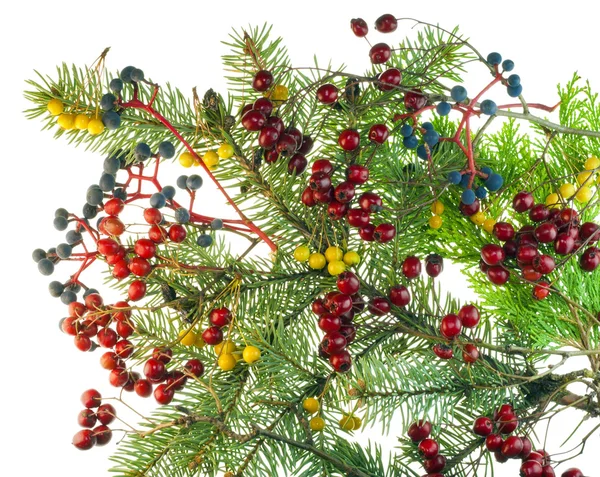 Buquê de Natal de bagas e ramos de árvore de pele — Fotografia de Stock