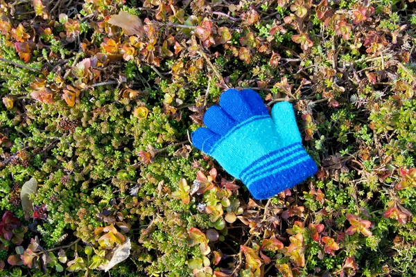 Children's small glove on an autumn lawn — Stock Photo, Image