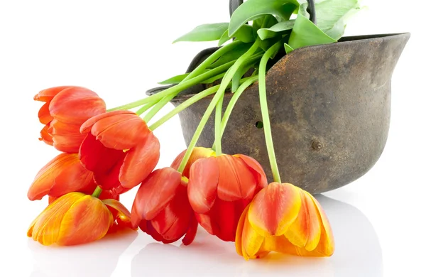 Capacete protetor e tulipas vermelhas — Fotografia de Stock