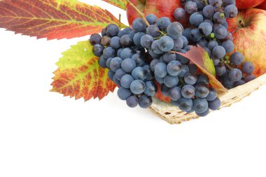 elma, üzüm ve yaprakları küçük sepeti kartpostal. beyaz izole