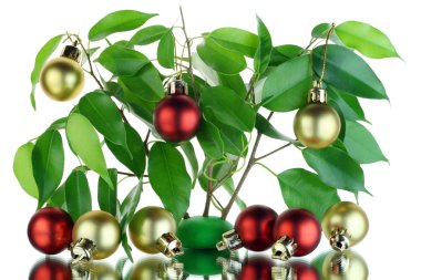 Christmas tree concept clipart